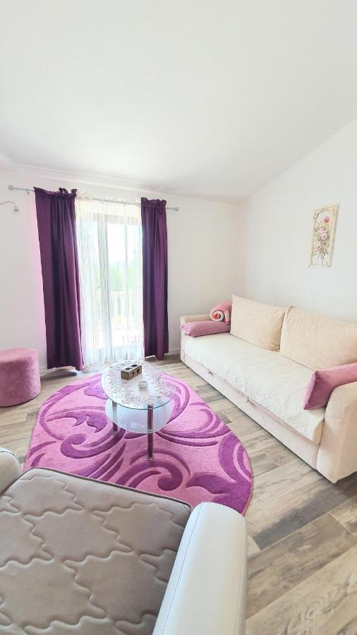 Apartment Jelena Sutvara Kotor Exterior photo